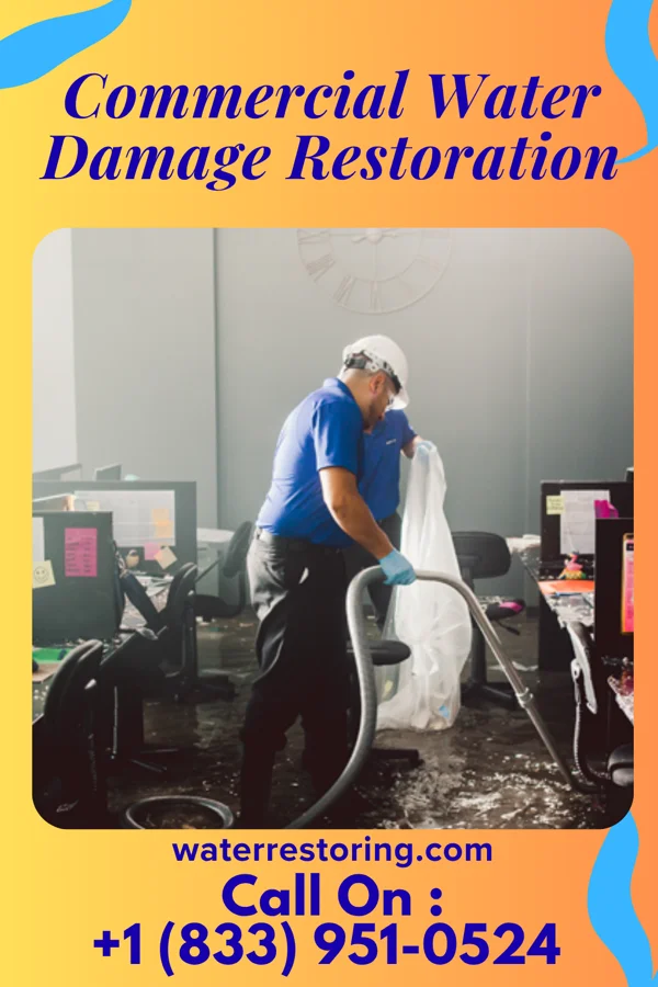 Commercial Water Damage Restoration in Haysi, VA