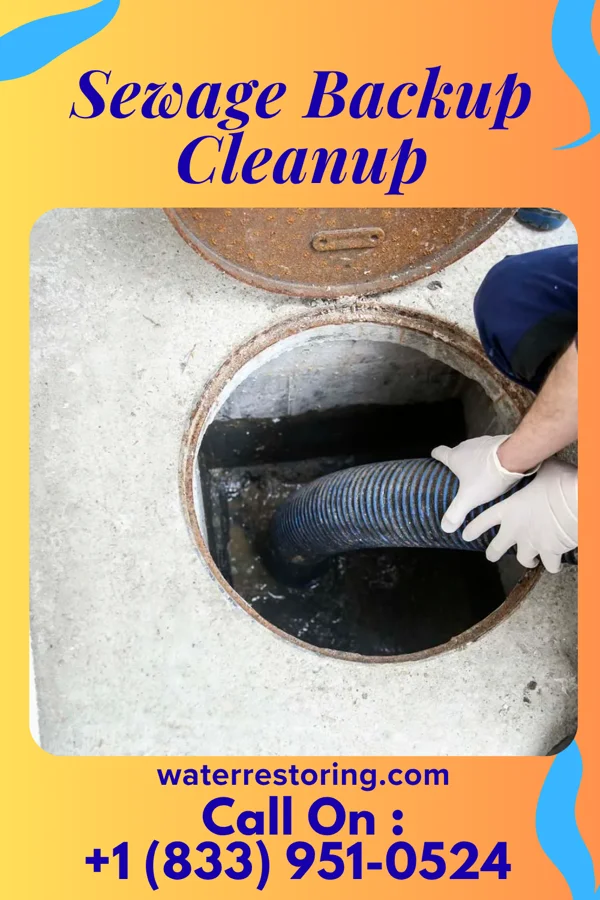 Sewage Backup Cleanup in Haysi, VA