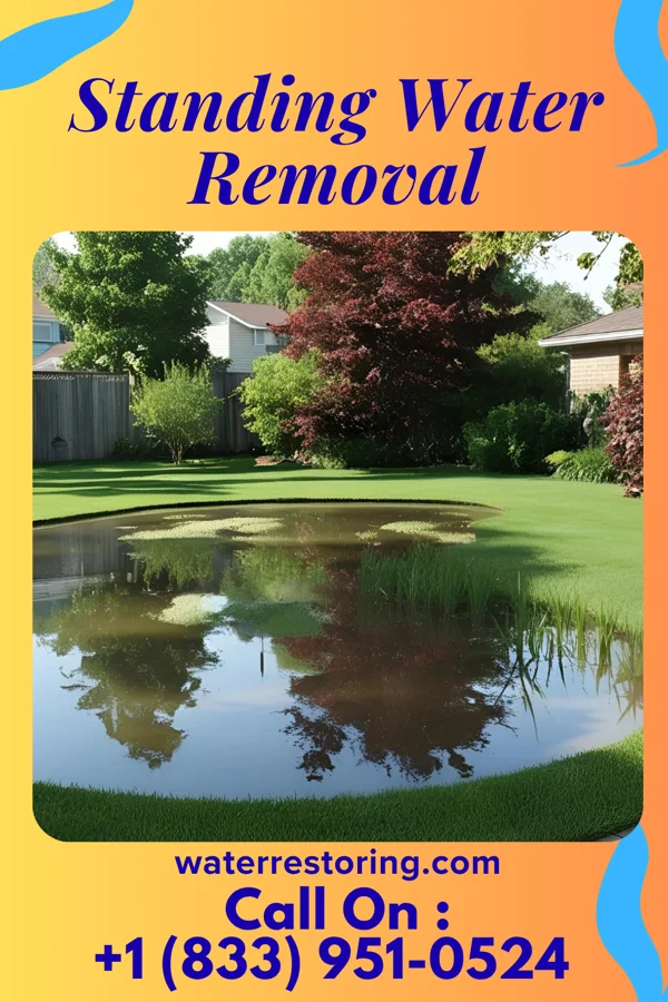 Standing Water Removal in Haysi, VA